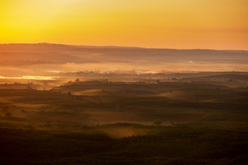 Landscapes aerial view sunrise pattern forest and foggy in morning time Bueng Kan Thailand.