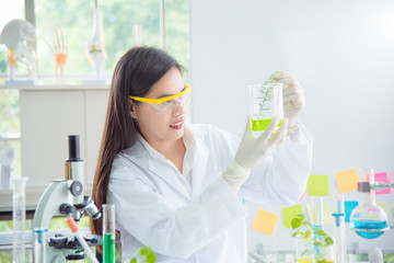 Beautiful Asian scientist warking in lab