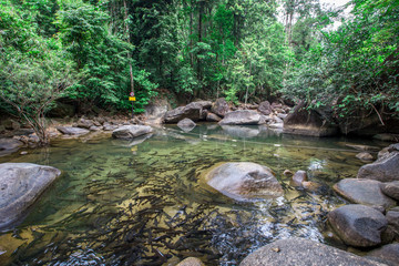 Natural view close-up There are a lot of fish swimming in the clear waters, a rich background of rocks, and a variety of fish, which are beautifully ecologically sound.