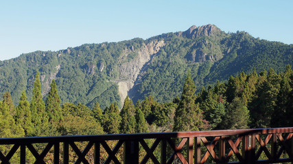 Alishan Recreation Park Taiwan