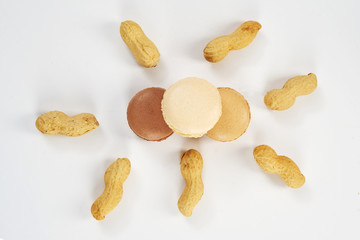peanuts in shell on white background