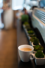 lazy day and black coffee in thailand cafe