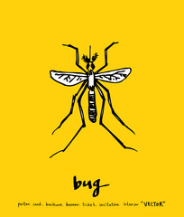 곤충 일러스트 / 손으로 그린 곤충 스케치