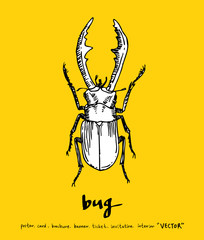 곤충 일러스트 / 손으로 그린 곤충 스케치