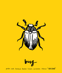 곤충 일러스트 / 손으로 그린 곤충 스케치