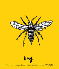 곤충 일러스트 / 손으로 그린 곤충 스케치