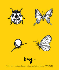 곤충 일러스트 / 손으로 그린 곤충 스케치