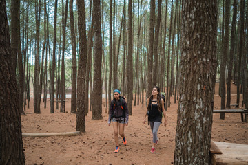 Fototapeta premium two young female hiker walking in beautiful nature