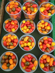 Heirloom Cherry Tomatoes at farmers market in southern California USA