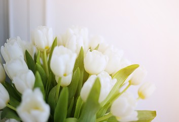 White flower at white wall