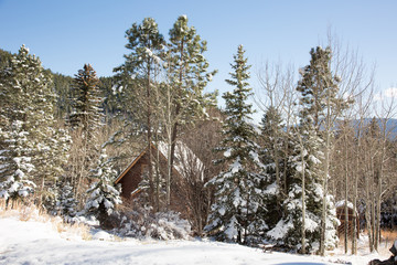 A Quaint Home in the Mountains