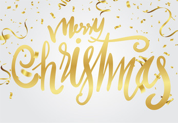Christmas and New Year Card Typography over a delicate nature background