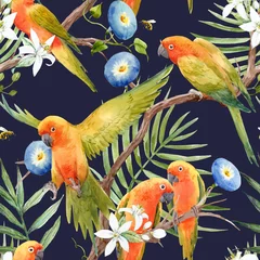 Foto op Plexiglas Tropische print Aquarel tropische papegaaien vector patroon