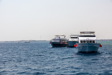 Diving boats in Red Sea