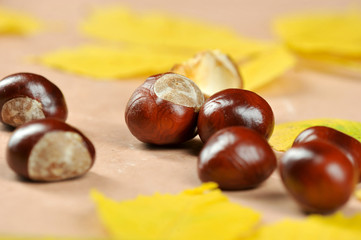 carstone with chestnut leaves