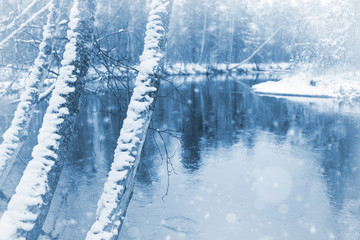 Landscape with the first snow. Snow-covered tree trunks on the banks of the river.