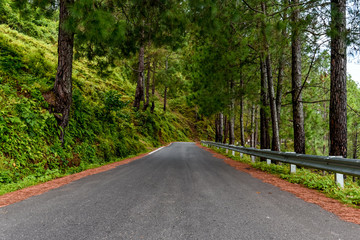 Indian Mountain Roads, Hills roads from India