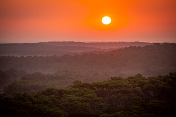 Sunset, Forest from the Dune du Pilat, the biggest sand dune in Europe