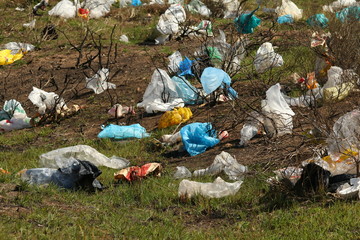 Plastic packets blowing in the wind against bushes.