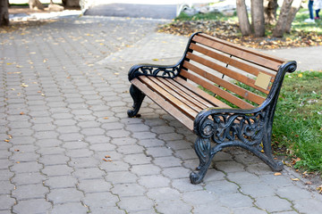 bench in the autumn park