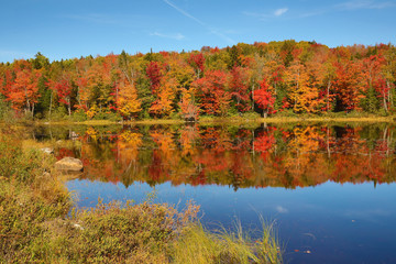 Fall colors along the Androscoggin River in Milan, New Hampshire.