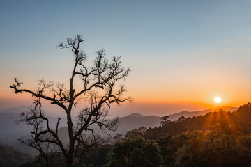 Scenery in Thailand as background or wallpaper.