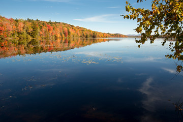 Fall colors along the Androscoggin River in Milan, New Hampshire.