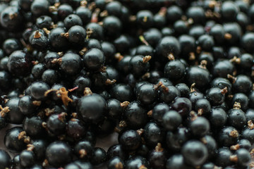 Background of black currant berries.