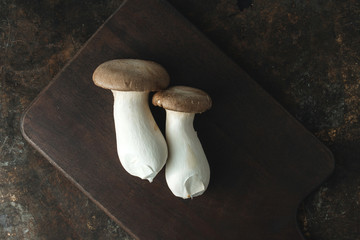 Oyster mushroom on rustic background