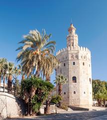 Fototapeta na wymiar Tower of gold in Seville
