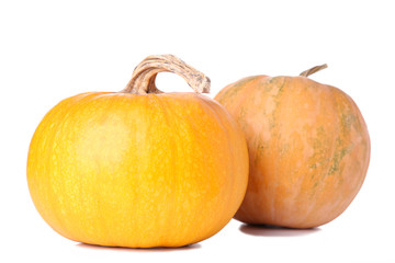 Orange pumpkin isolated on a white background