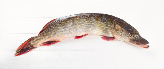 Pike
