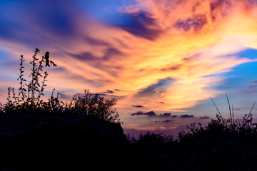 Orange sky at sunset in Delhi NCR