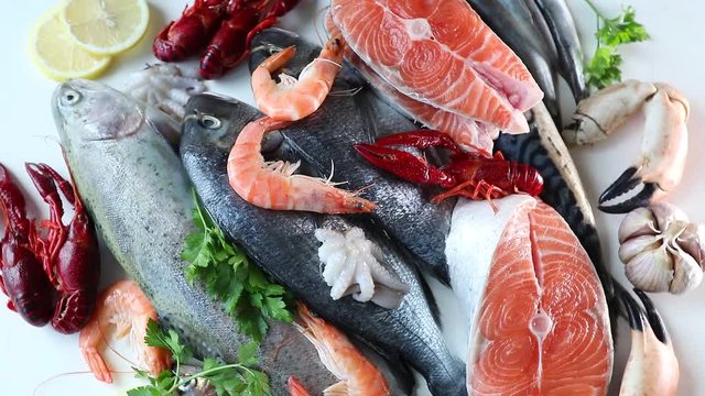 Fresh fish and seafood
