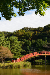 red wood bridge