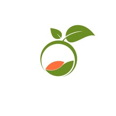 Simple Organic symbol with leaves