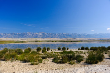 Veliko blato bird reserve on Pag island