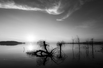 Beautiful sunset at Trasimeno lake (Umbria), with perfectly still water and skeletal trees