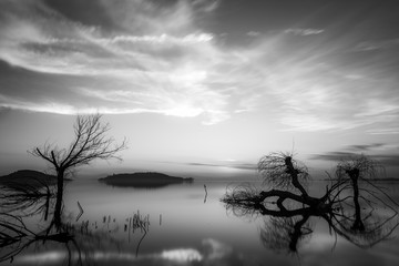 Beautiful sunset at Trasimeno lake (Umbria), with perfectly still water and skeletal trees