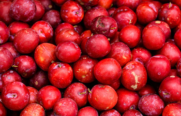 plum fruit , Fruit from Indian Mountain Area