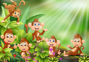 Nature scene with group of monkey cartoon