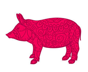 Colored pig on white. Zentangle. Hand drawn animal with intricate patterns on isolated background. Design for spiritual relaxation for adults. Print for banners, t-shirts and textiles. Zen art