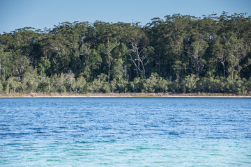 Lake Mackenzie on Fraser Island, Queensland, Australia on a clear and sunny day