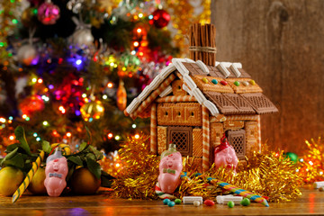 Year of the pig. Gingerbread house and three little pigs.