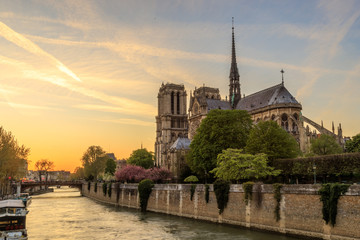 Plakat Notre Dame Paris