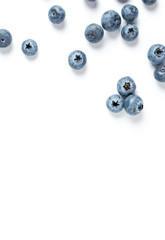 blueberry on white background.