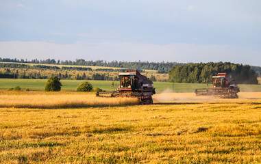 Combine harvester. old combine harvester working on the wheat field Kombain collects on the wheat...