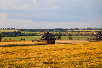 Fototapeta premium Combine harvester. old combine harvester working on the wheat field Kombain collects on the wheat crop. Agricultural machinery in the field.