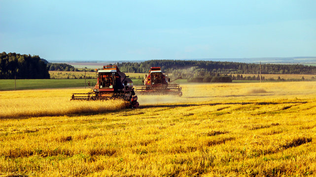 Combine harvester. old combine harvester working on the wheat field Kombain collects on the wheat crop. Agricultural machinery in the field.
