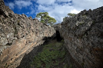 Lava Tube In Etna Park, Sicily